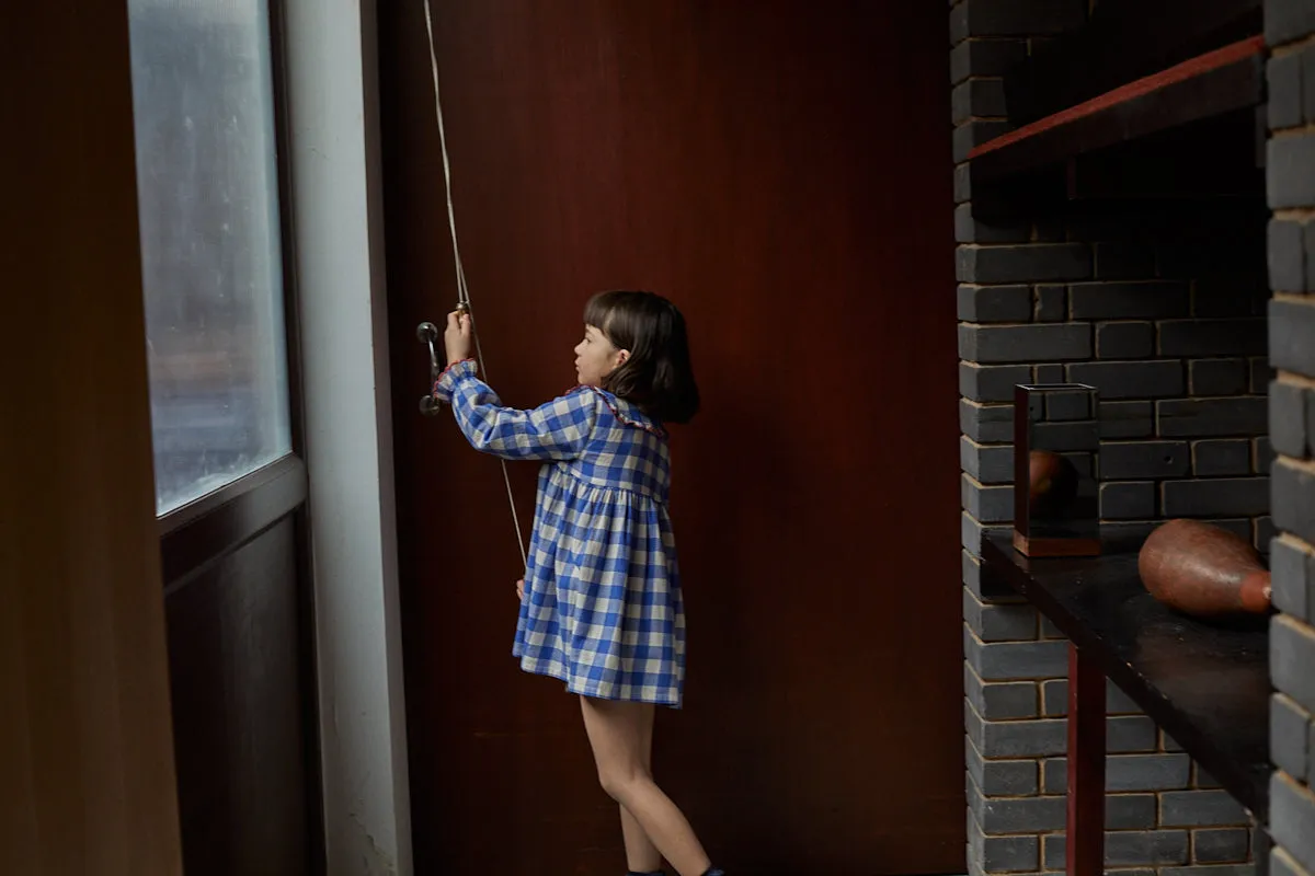 Mina Flannel Dress, Blue Check